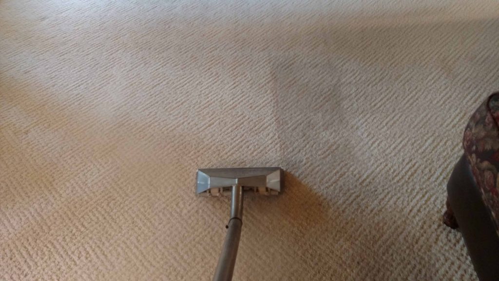 Carpet Cleaning Saginaw Mi